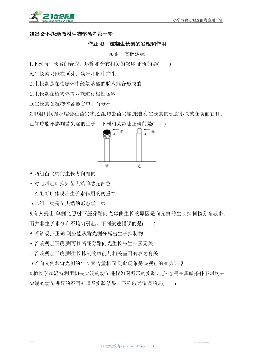2025浙科版新教材生物学高考第一轮基础练--作业43　植物生长素的发现和作用（含解析）