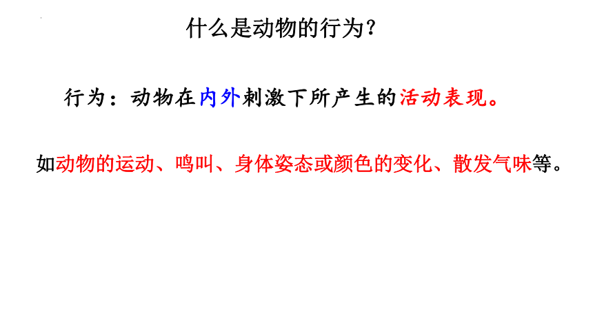 5.16.1 先天性行为和学习行为 课件(共33张PPT＋内嵌视频1个)2023年秋北师大版生物八年级上册