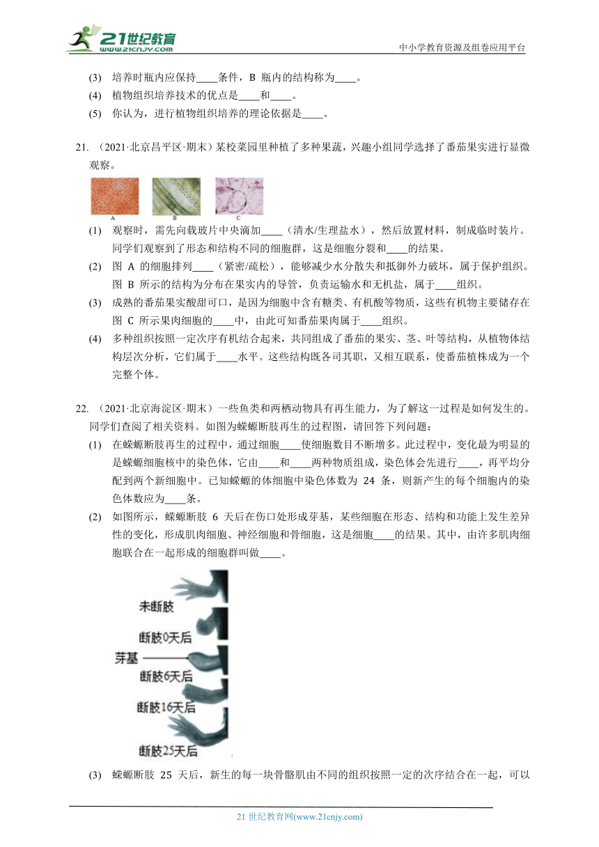 2023-2024学年初中生物济南版七年级上册1.2观察生物结构章节同步练习（答案+解析）