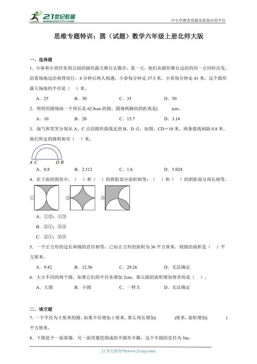 思维专题特训：圆（试题）数学六年级上册北师大版（含答案）