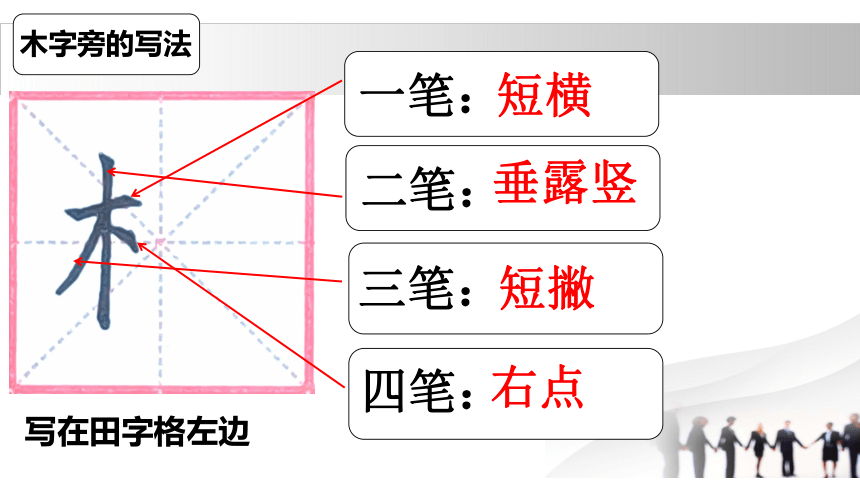 小学硬笔书法第18课：《木字旁》的写法  课件(共16张PPT)