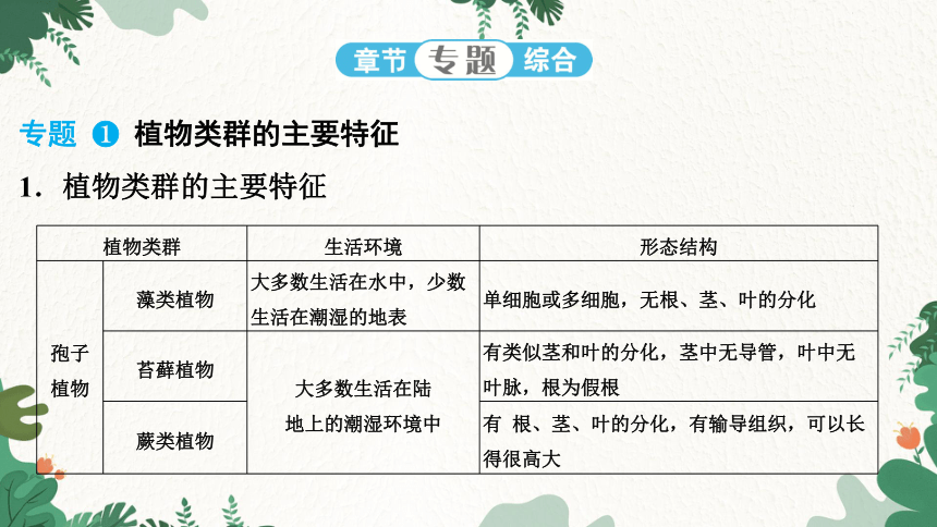 人教版生物七年级上册 第3单元 第1、2章 强化提升课件(共22张PPT)