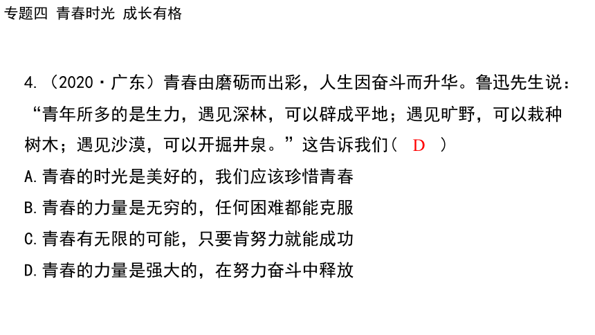 2024年中考道德与法治二轮总复习课件(共73张PPT)：专题四  青春时光  成长有格