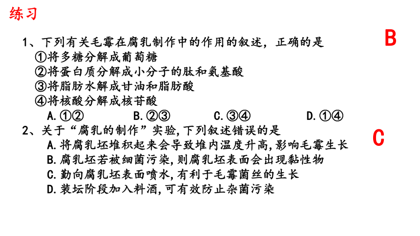 1.1传统发酵技术课件（共51张PPT） 人教版选择性必修三