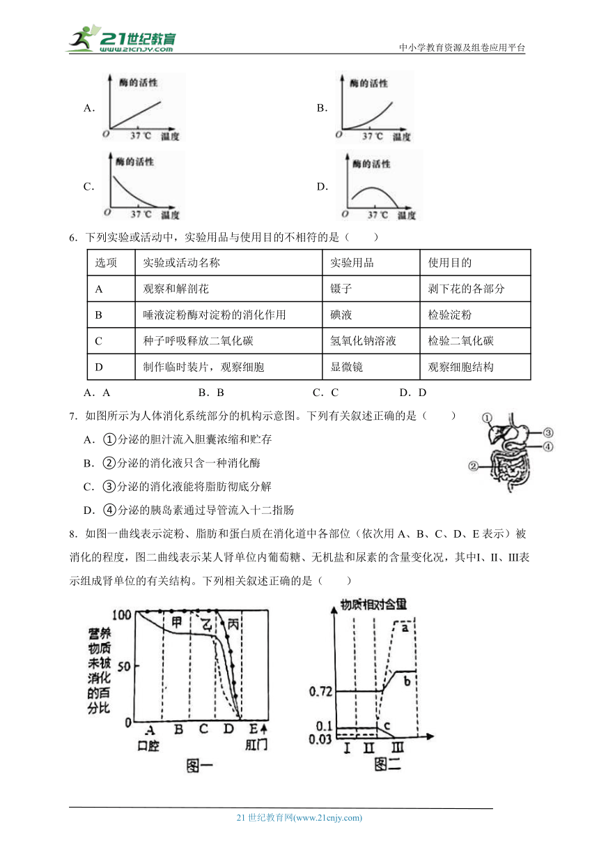 华师大版科学八上期末专题复习：食物的消化和吸收（含答案）