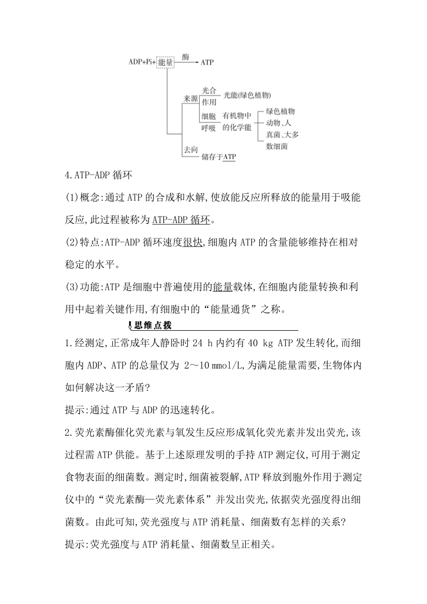 浙科版（2019）生物必修一 第三章第一节　ATP是细胞内的“能量通货”学案（有答案）