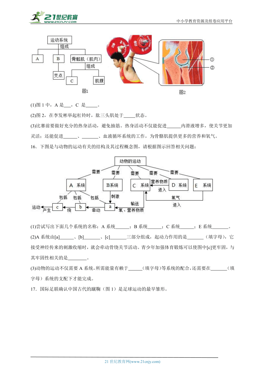 2023-2024学年初中生物济南版七年级上册期末复习专题11——动物的运动（含解析）