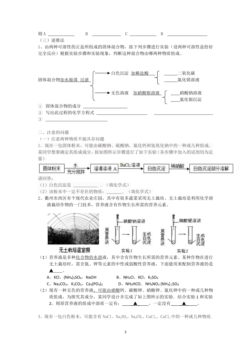 第1章 物质及其变化 专题复习（物质推断的方法和注意的问题）（学案 含答案）