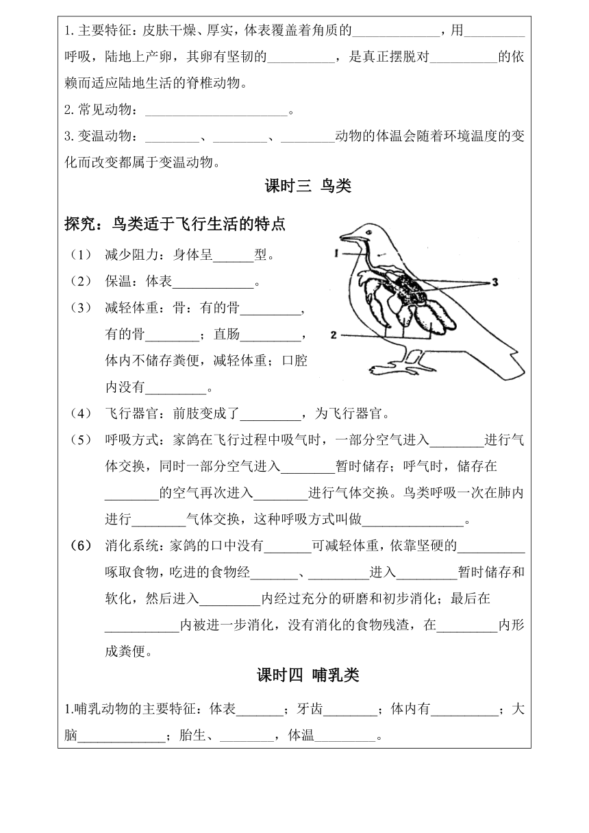 2.2.2 脊椎动物的主要类群 教学案 （表格式 无答案）山东省济南市济南版生物七年级上册