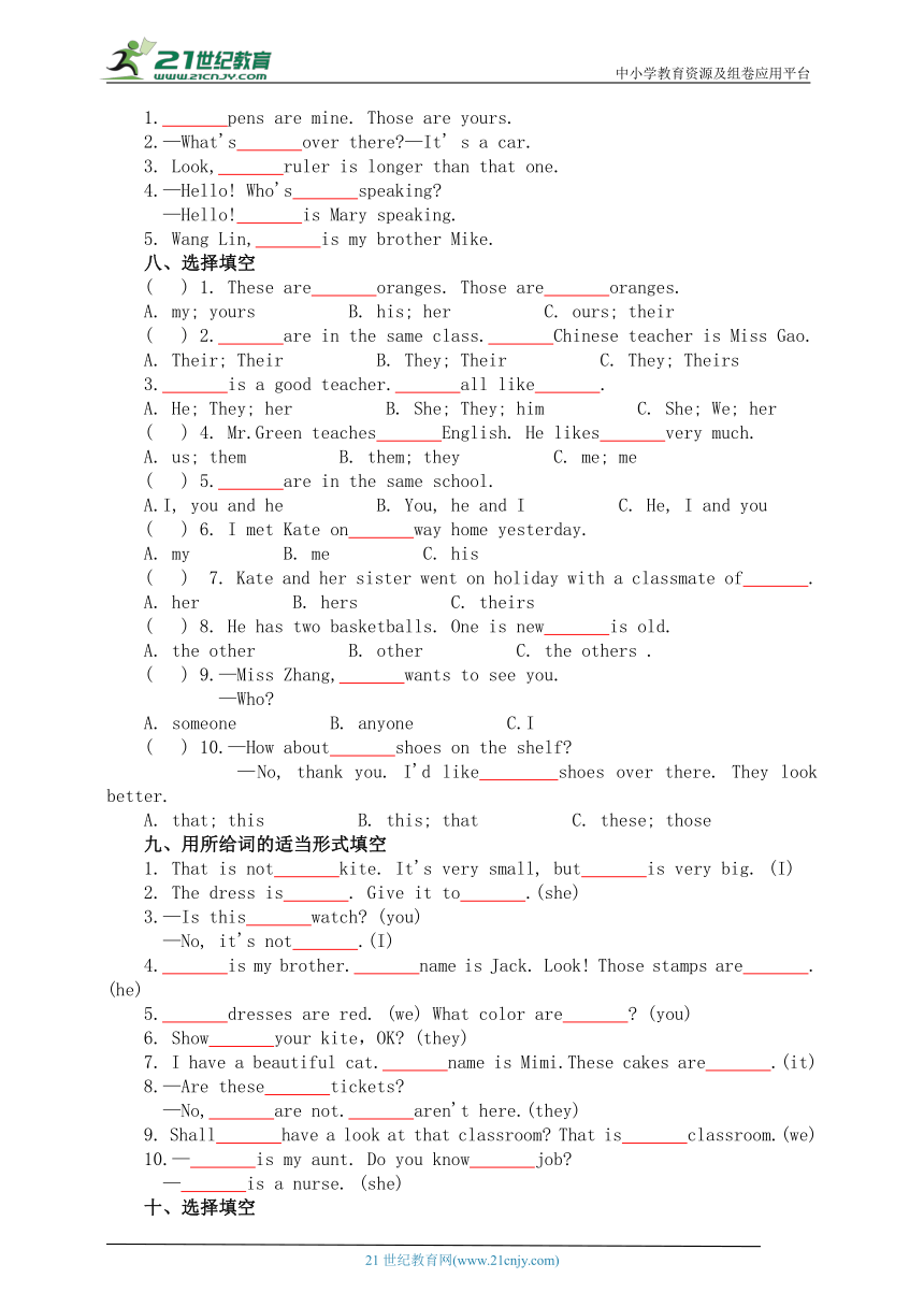 考点4代词—专题精讲名词小升初英语第一轮总复习PEP版（含答案）