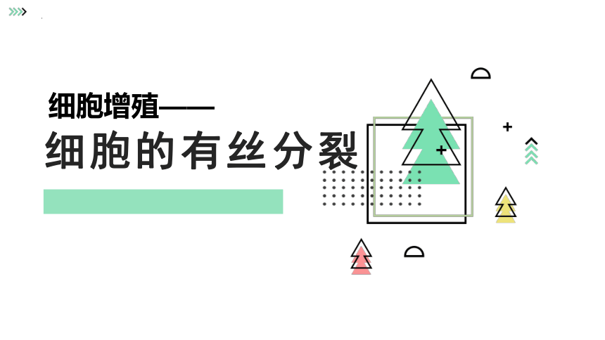 人教版（2019）  必修1 分子与细胞  第6章 细胞的生命历程  第1节 细胞的增殖说课课件(共22张PPT)