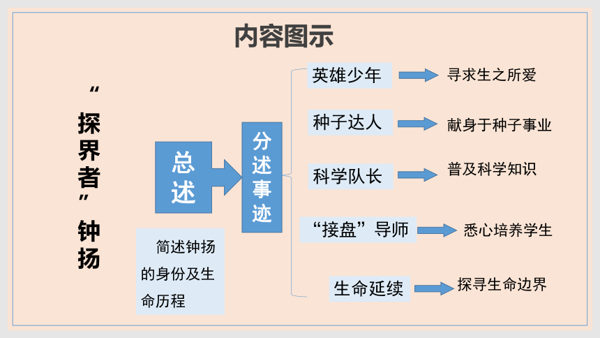 4.3《“探界者”钟扬》课件(共30张PPT)2023-2024学年统编版高中语文必修上册