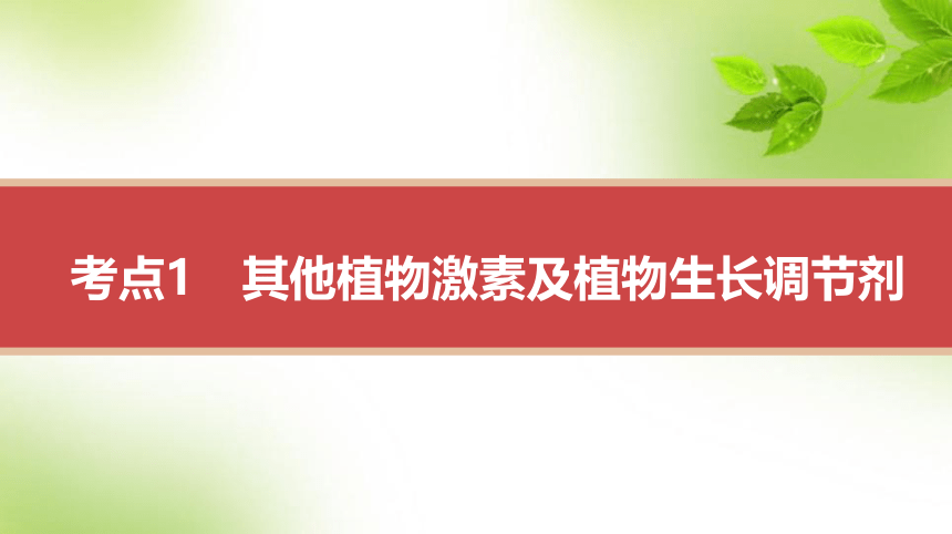 人教高考生物一轮复习课件：第37讲　其他植物激素、其他因素参与调节植物生命活动(共58张PPT)