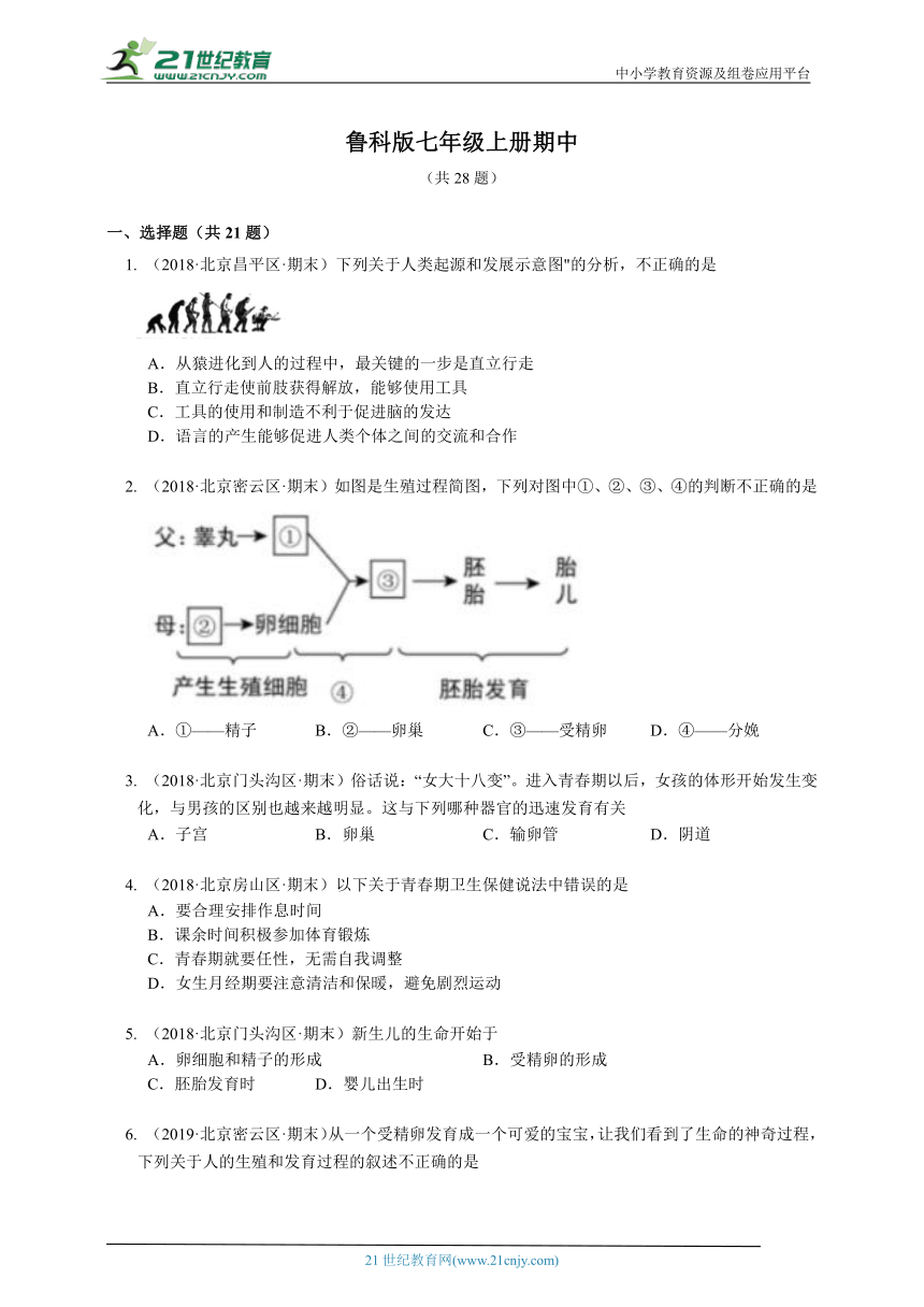 2023-2024学年初中生物鲁科版七年级上册期中测试模拟题（解析+答案）