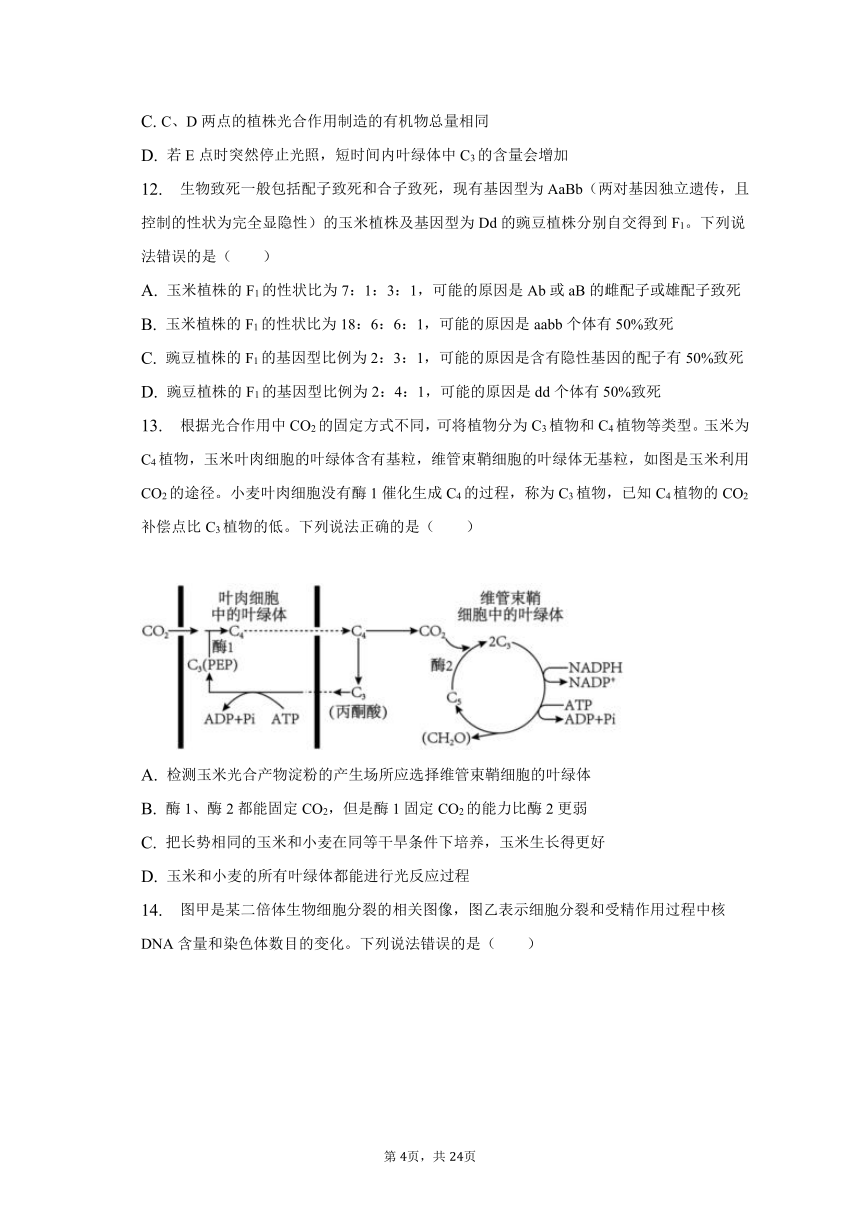 2022-2023学年江西省吉安市高一（下）期末生物试卷（含解析）