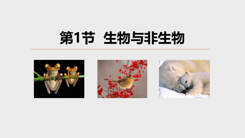 2.1 生物与非生物（课件 30张PPT）