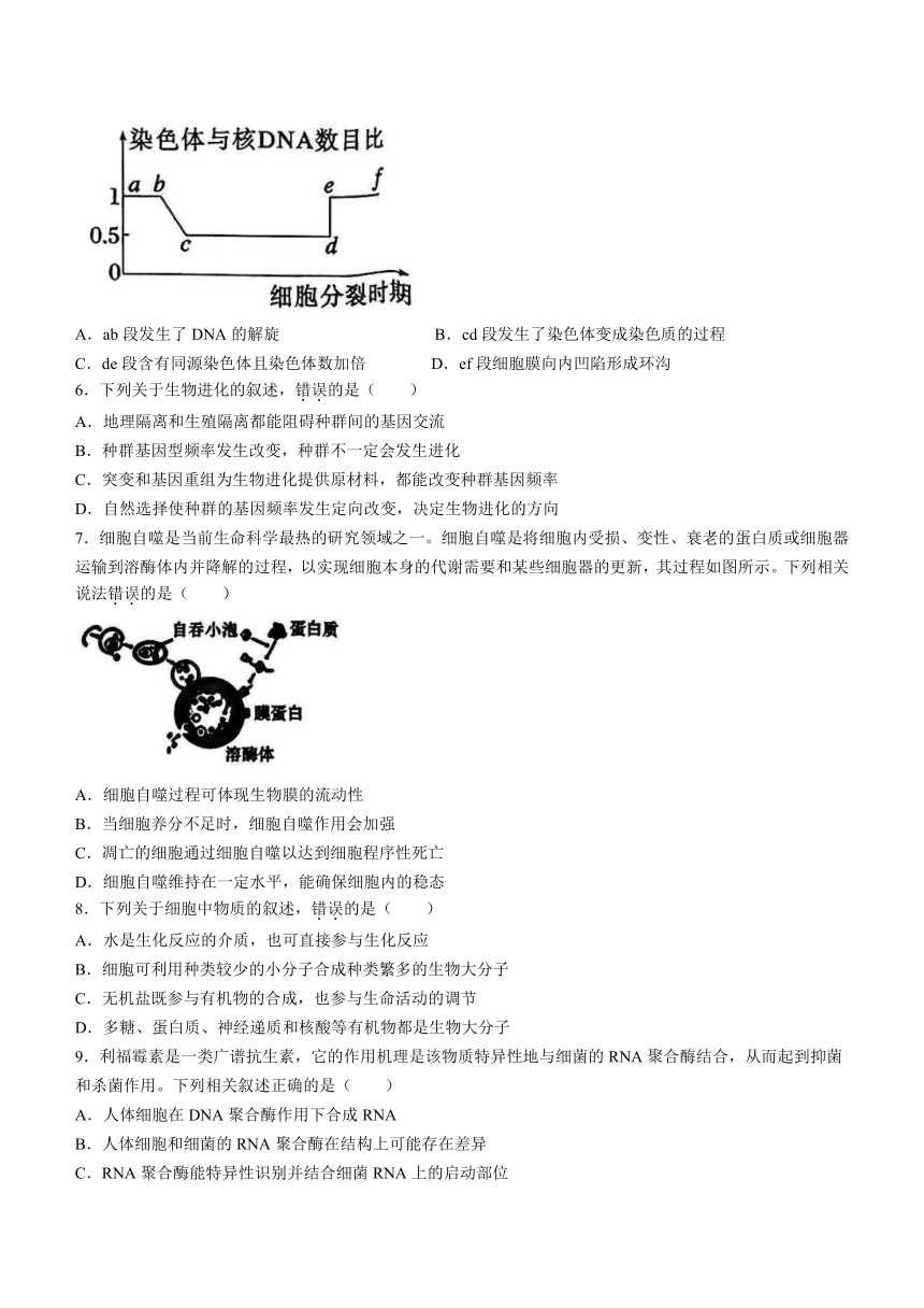 浙江省名校协作体2023-2024学年高三上学期开学联考生物学试题（Word版含答案）