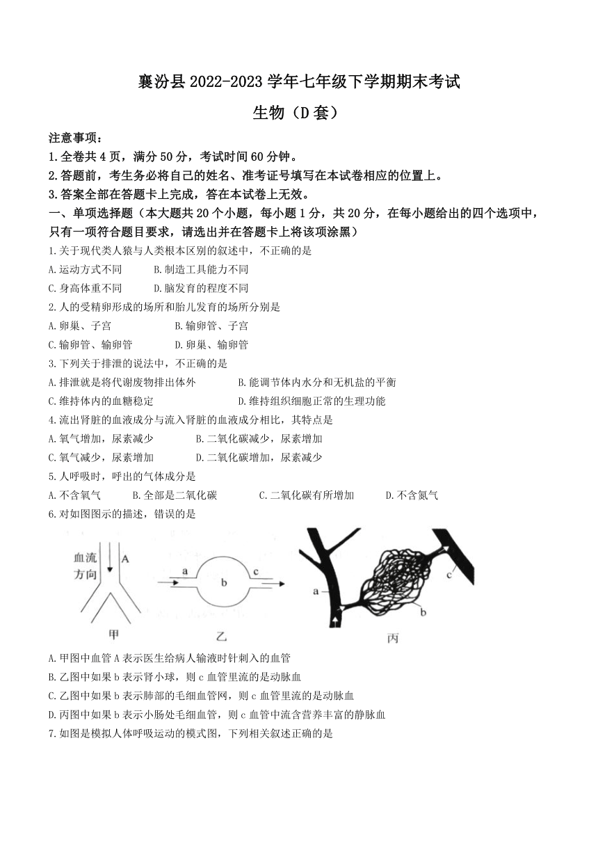 山西省临汾市襄汾县2022-2023学年七年级下学期期末考试生物学试题（含答案）