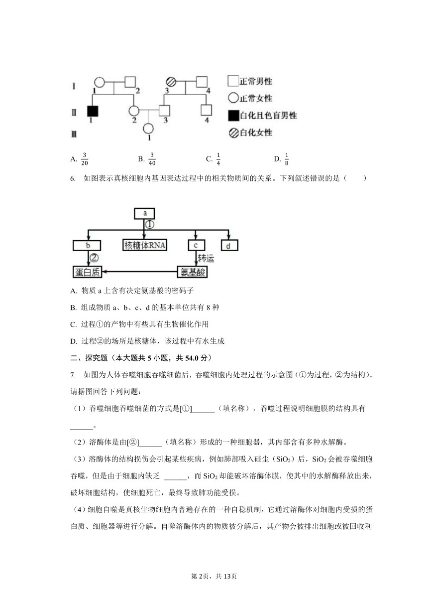 2023-2024学年四川省眉山市彭山重点中学高三（上）开学生物试卷（含解析）