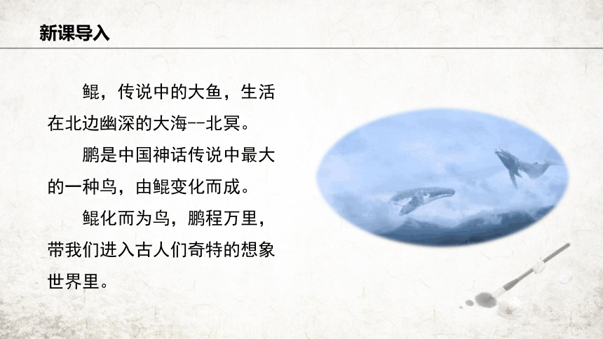 21 北冥有鱼  课件(共22张PPT)  2023-2024学年初中语文部编版八年级下册