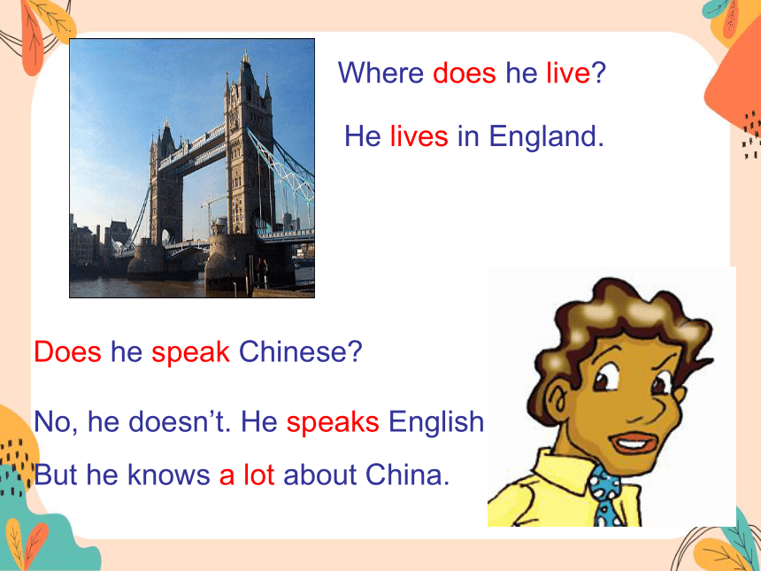 Unit 3 Topic 1 Does he speak Chinese?Section B 课件 2023-2024学年仁爱版英语七年级上册 (共17张PPT)