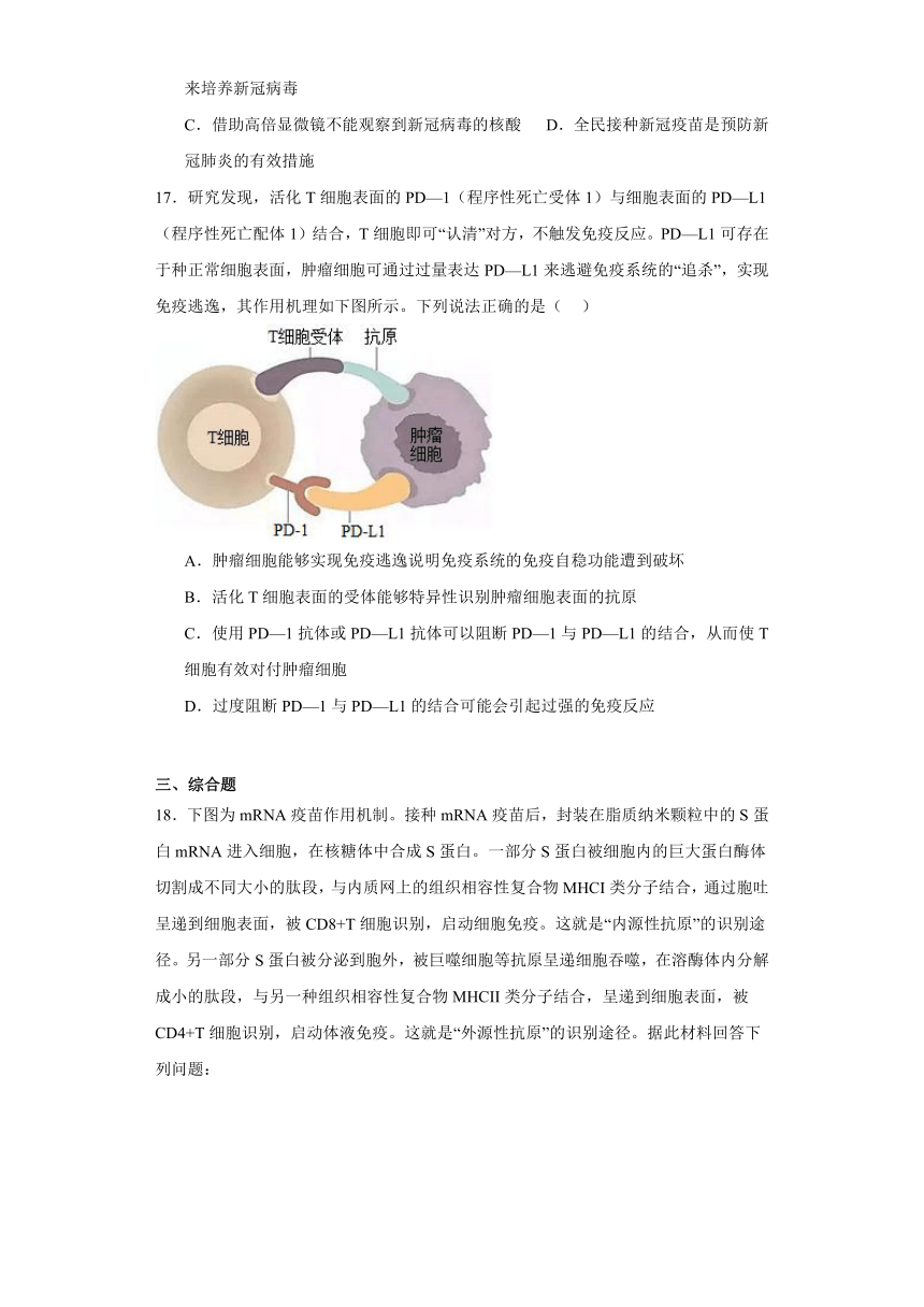 4.5 免疫学的实际应用 检测题（有解析）2023-2024学年高中生物学北师大（2019）选择性必修第一册