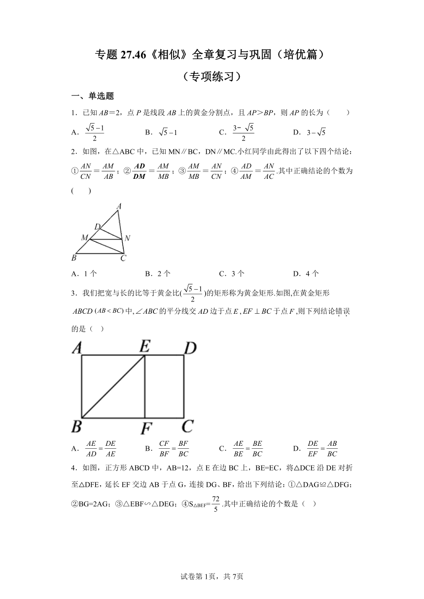 专题27.46《相似》全章复习与巩固 培优篇 专项练习（含解析）2023-2024学年九年级数学下册人教版专项讲练