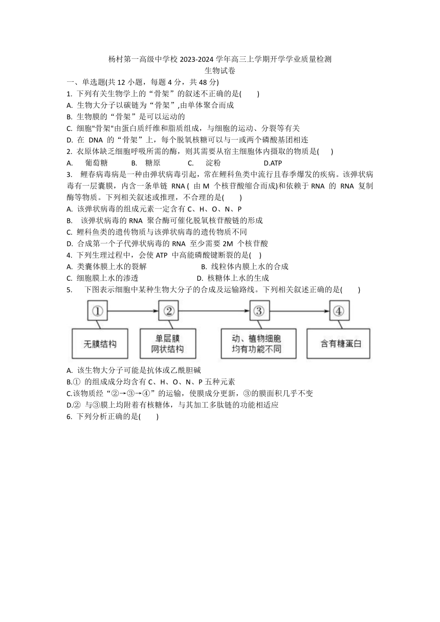 天津市武清区杨村第一高级中学校2023-2024学年高三上学期开学学业质量检测生物学试卷（Word版含答案）