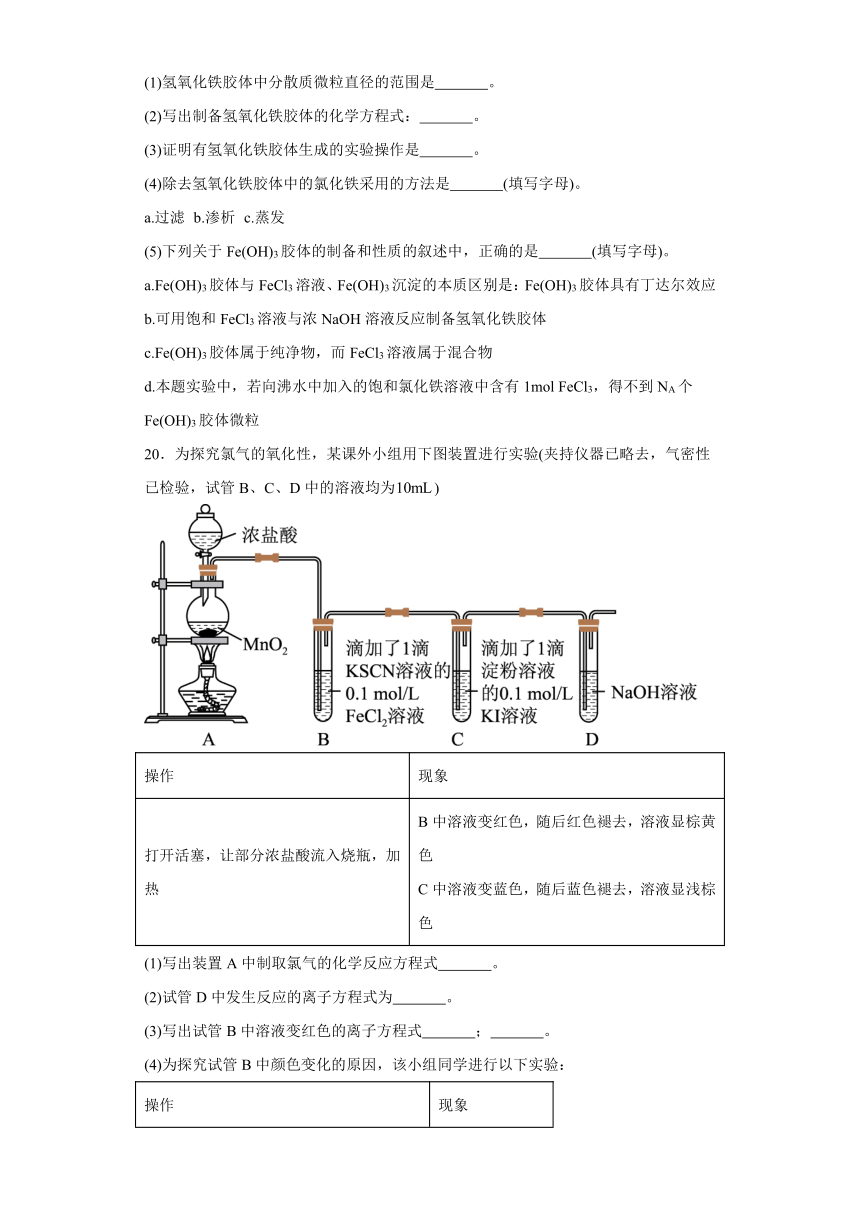 第2章 元素与物质世界 测试卷（含解析）2023-2024学年高一上学期化学鲁科版（2019）必修第一册