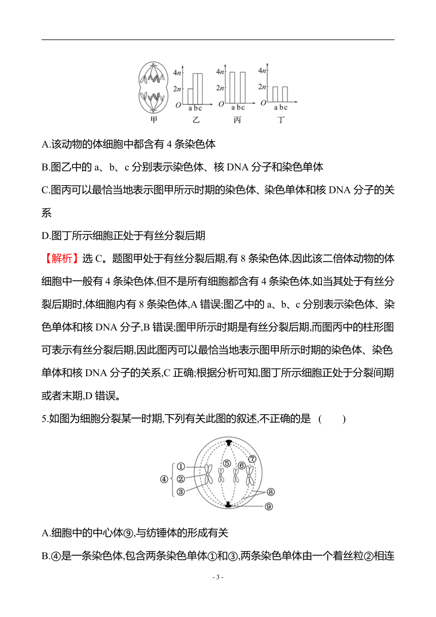 人教生物必修1微专题强化练（4）细胞周期和有丝分裂（含解析）