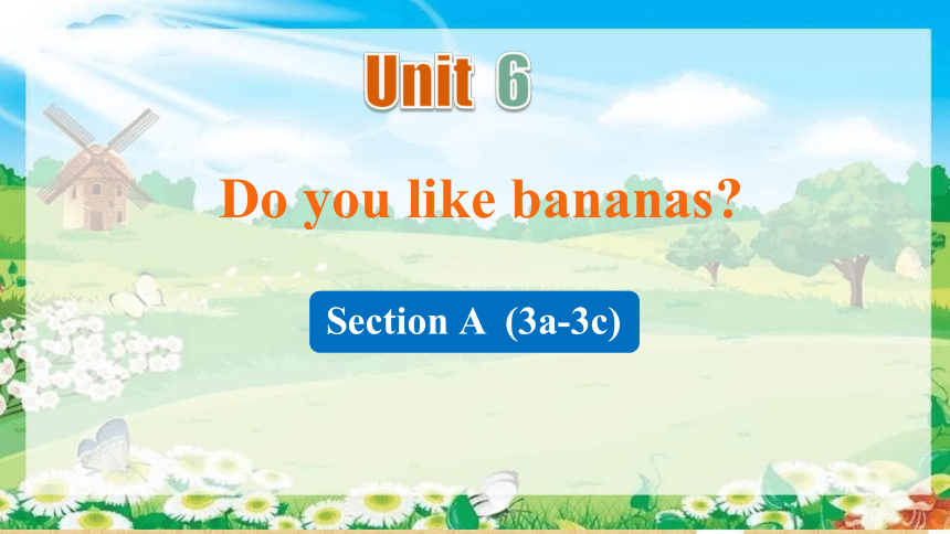 Unit 6 Do you like bananas? Section A 3a-3c课件（23张PPT）+内嵌视频