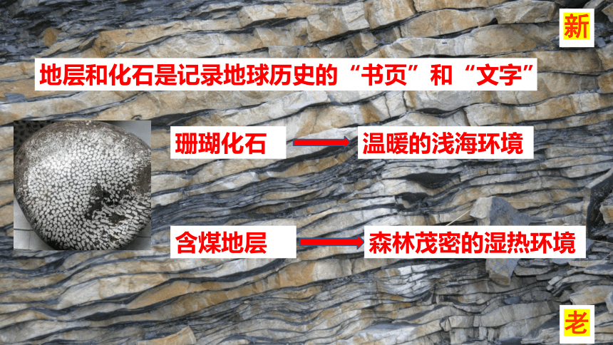 2.1岩石圈的组成及物质循环  课件 （共30张）2023-2024学年鲁教版（2019）高中地理选择性必修一（内嵌2份视频）
