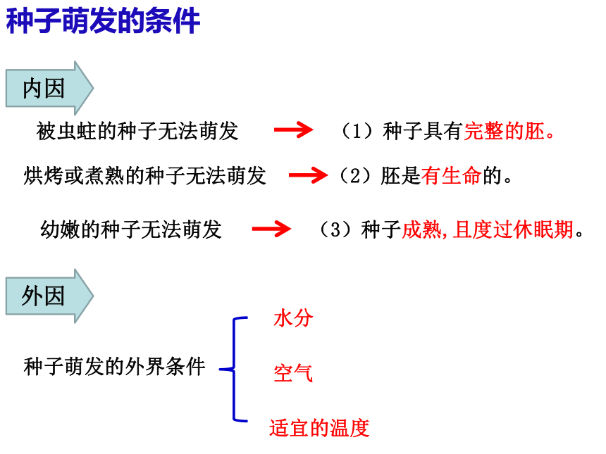 2023-2024学年华东师大版七年级下册科学7.4细菌和真菌的繁殖课件（26张ppt）