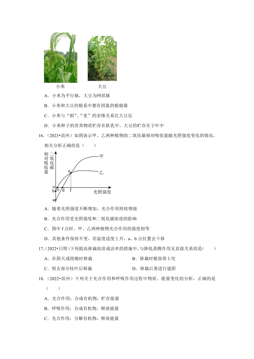 专题3绿色植物——2022-2023年山东省中考生物试题分类（含解析）