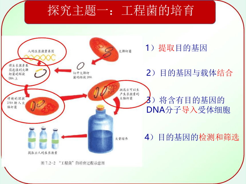 7.2.1基因工程 课件(共32张PPT+内嵌视频1个) 济南版八年级生物下册