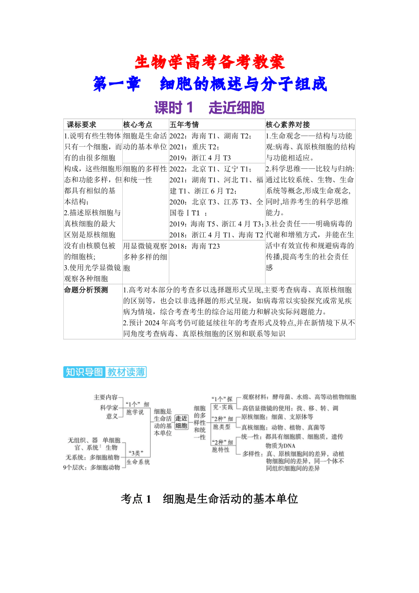 生物学高考备考学案：1-1  走近细胞（含答案）