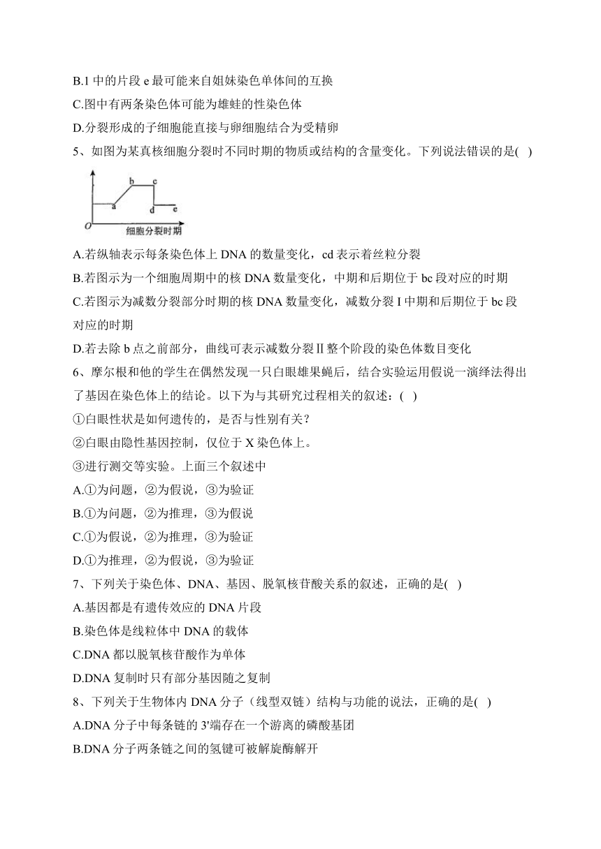 辽宁省名校2022-2023学年高一下学期6月联合考试生物试卷（含解析）