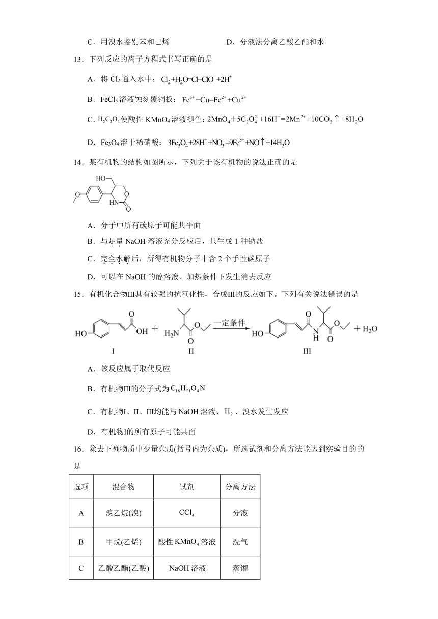 3.4羧酸 羧酸衍生物 （含解析）提升训练 2023-2024学年高二下学期化学人教版（2019）选择性必修3