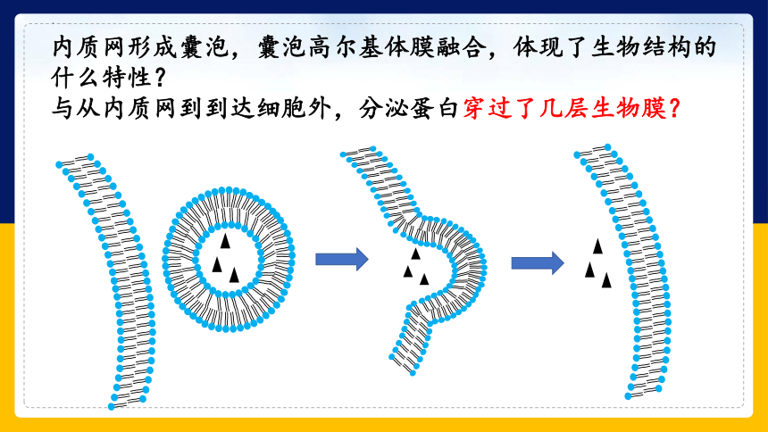 2.2.4细胞的结构和生命活动——细胞各部分结构分工合作 (共40张PPT)苏教版2019必修1