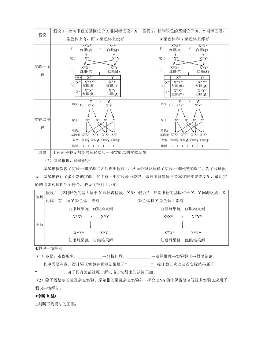 新人教生物一轮复习学案：第19讲　伴性遗传（含答案解析）