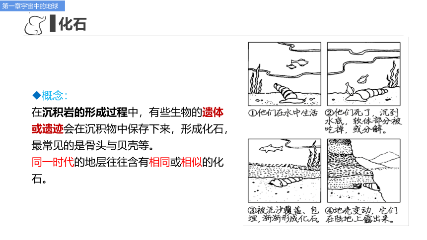 1.3地球的历史课件2023-2024学年高一上学期地理人教版（2019）必修一(共61张PPT)