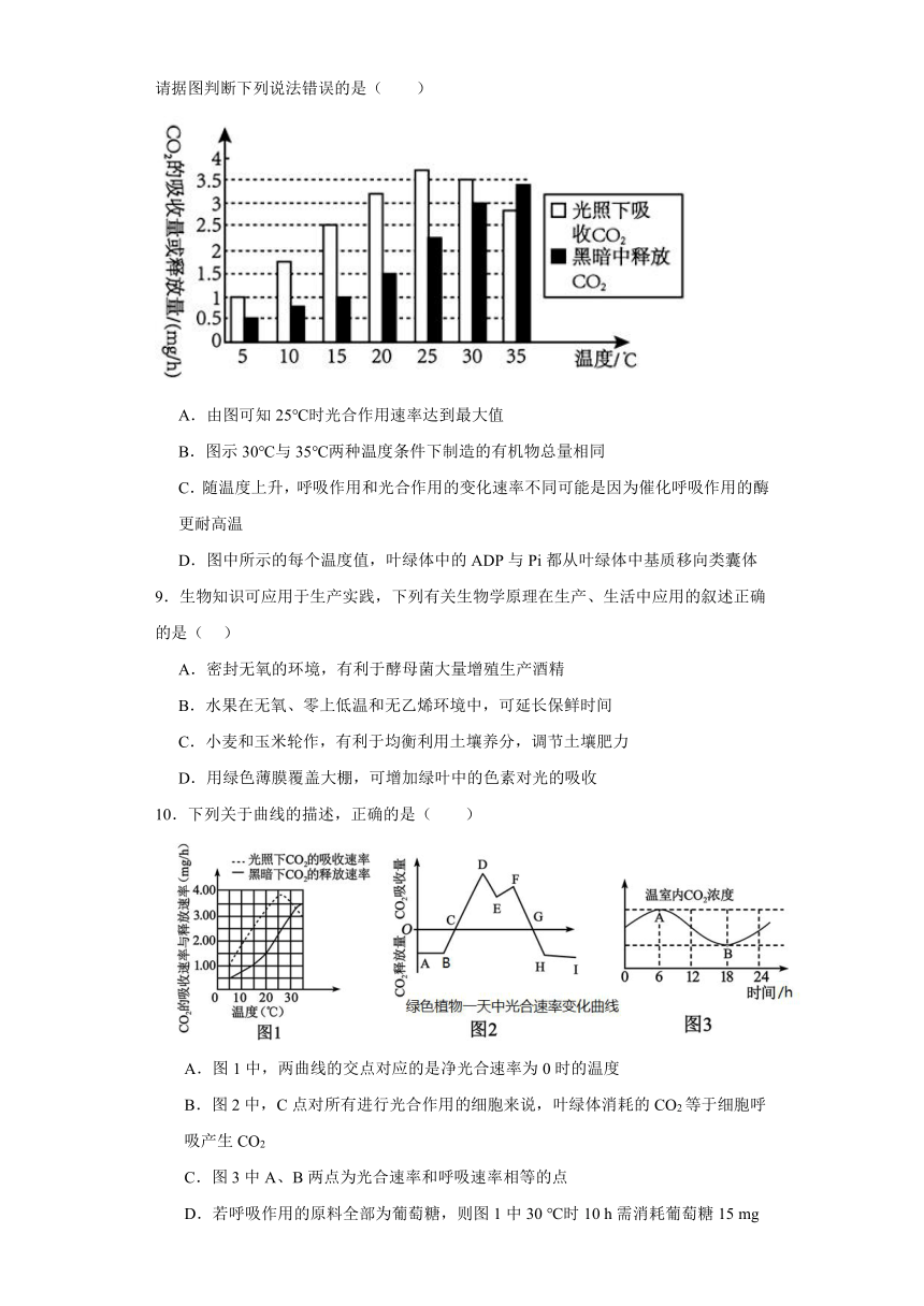 3.4影响光合作用和细胞呼吸的环境因素 测试题（有解析）-2023-2024学年高中生物学苏教版（2019）必修第一册
