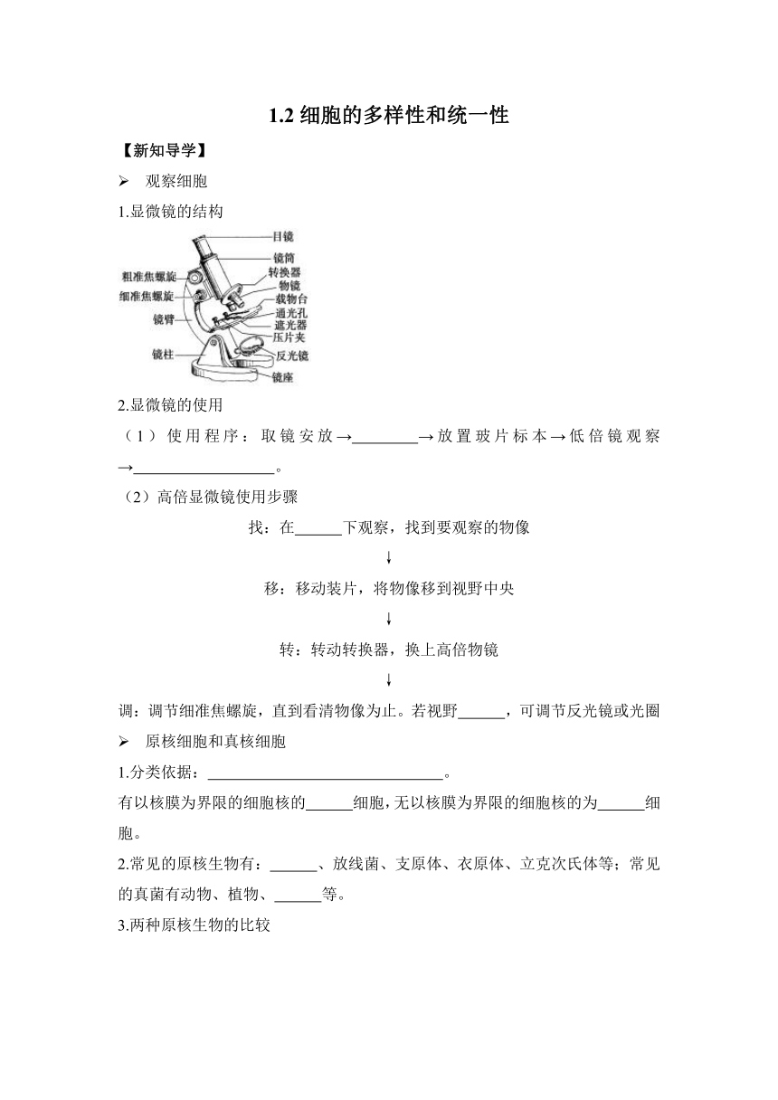 1.2细胞的多样性和统一性  导学案（有答案）——2023-2024学年高一生物人教版（2019）必修一