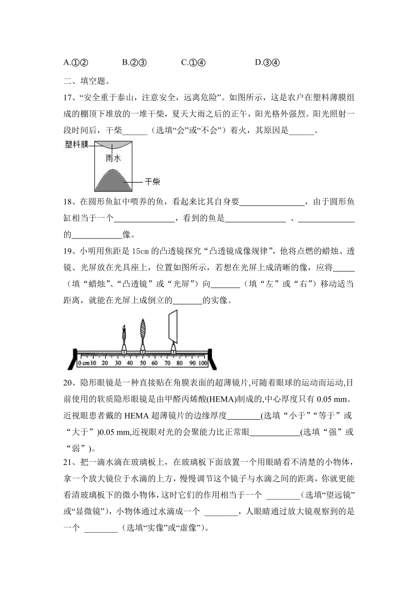 2023—2024学年八年级上册物理人教第5章 透镜及其应用  学业练习（含答案）