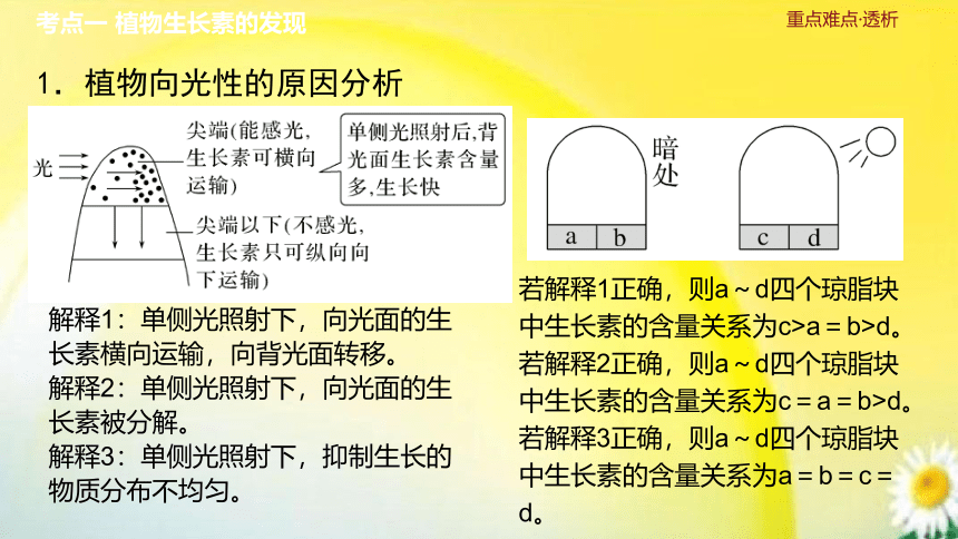 高三生物总复习课件-选择性必修1 稳态与调节：第36讲　植物生长素及其生理作用(共35张PPT)