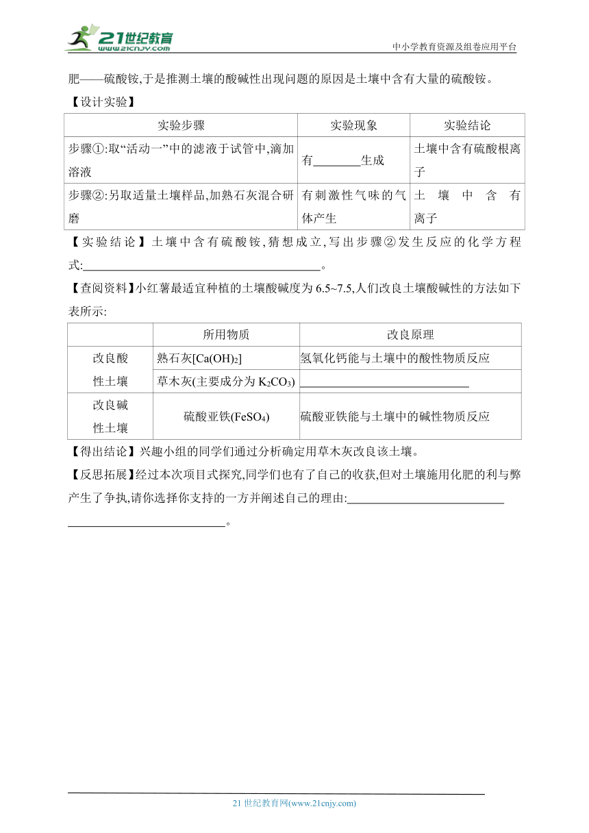 2024北京课改化学九年级下学期课时练--专项素养综合全练（八）   跨学科实践活动