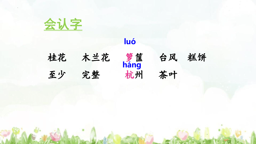 3《桂花雨》 课件 (共26张PPT)