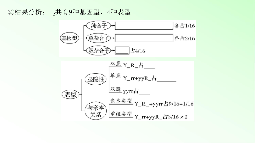 新教材生物一轮复习课件：第5单元 基因的传递规律 第2讲　自由组合定律的发现及应用(共88张PPT)