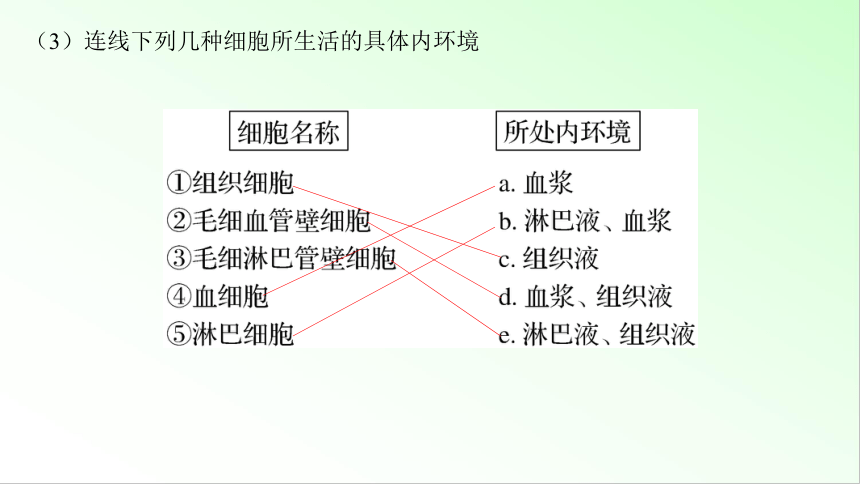 新教材生物一轮复习课件：第8单元 生命活动的调节 第1讲　人体的内环境与稳态(共80张PPT)