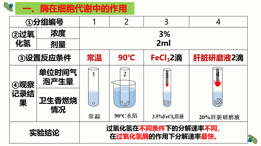 5.1 降低化学反应活化能的酶（第一课时）课件(共22张PPT)-人教版2019必修1